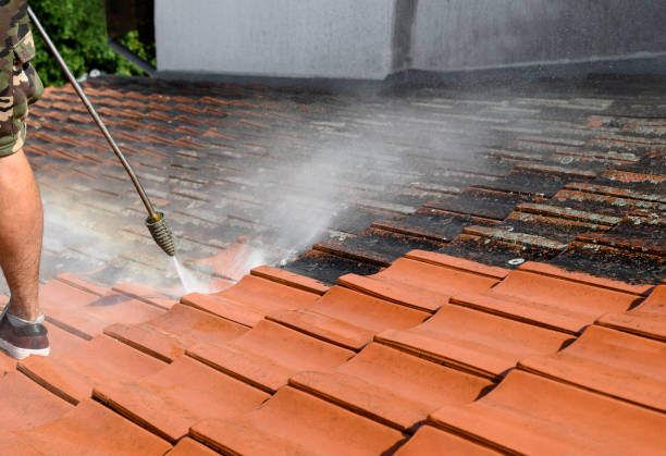 Best Pressure Washing Company Near Me  in Ben Lomond, CA