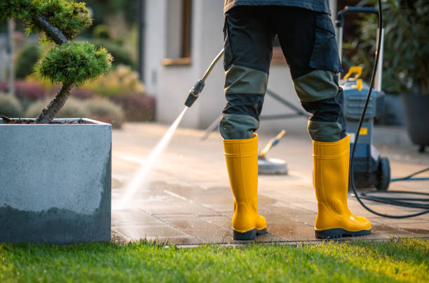 Best Pressure Washing Siding  in Ben Lomond, CA